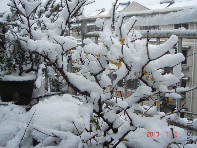 DSC04306.JPG
