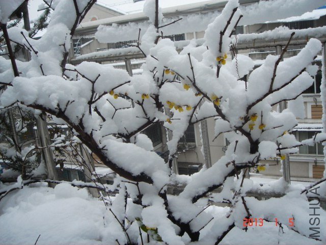DSC04309.JPG