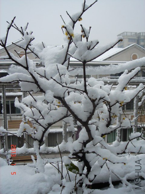 DSC04312.JPG