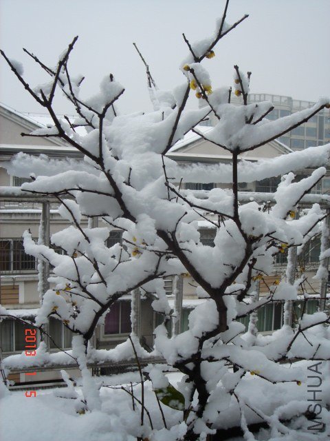 DSC04315.JPG