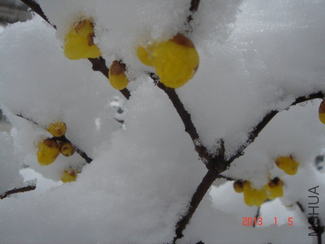DSC04317.JPG