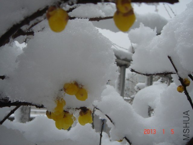 DSC04318.JPG