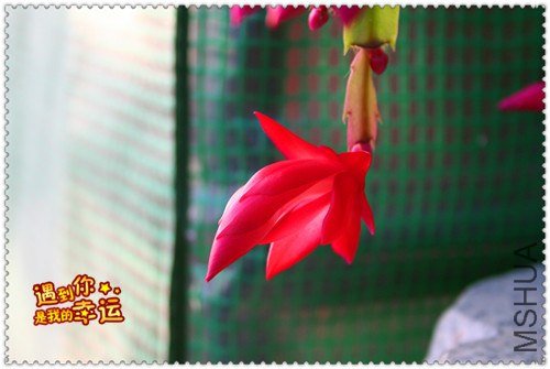 ��Ƭ 007_����.jpg