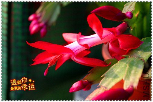 ��Ƭ 006_����.jpg