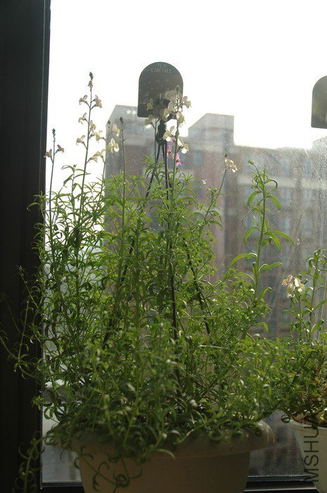 nEO_IMG_DSC_8057.jpg