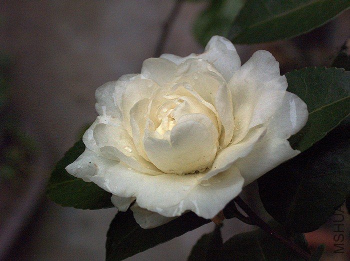 759.jpg