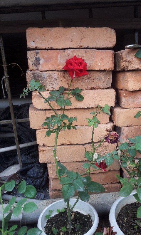 C360_2012-12-29-12-09-26.jpg