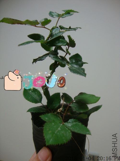 ����֮��