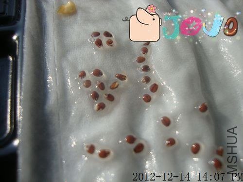 ��ҶѬ���Ӵ�ѿ