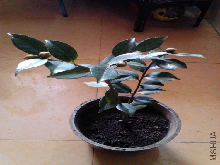 Camera_20130106_134645.jpg
