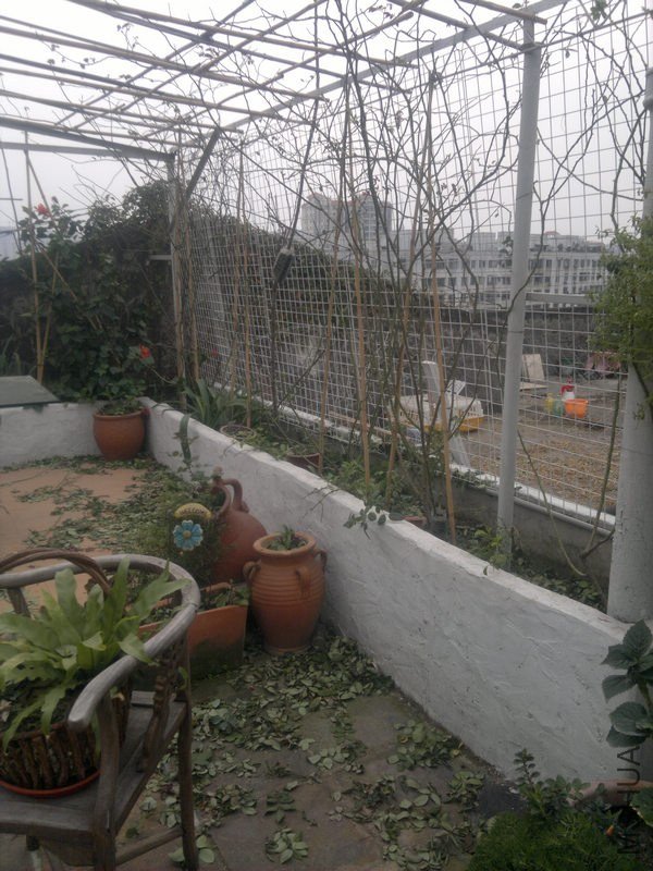 201301061180.jpg