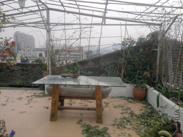 201301061181.jpg