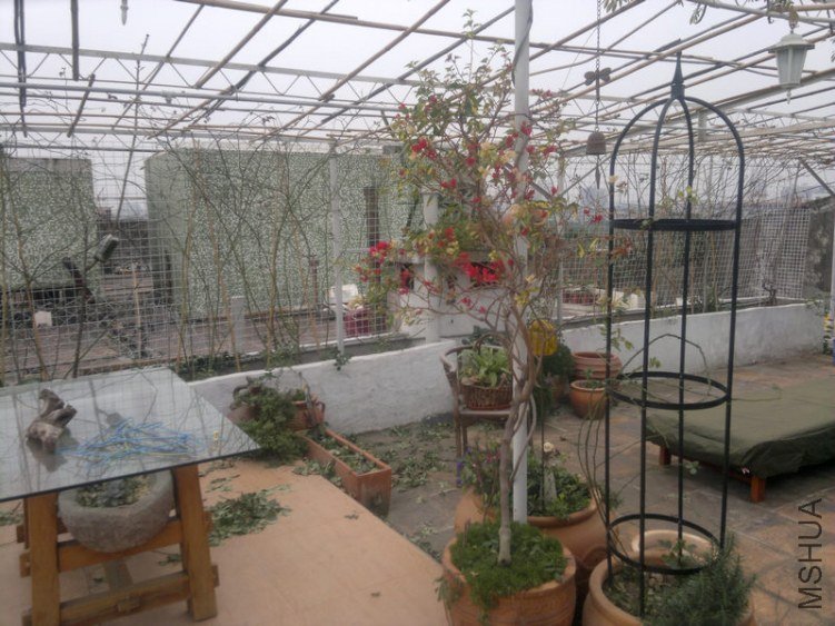 201301061183.jpg
