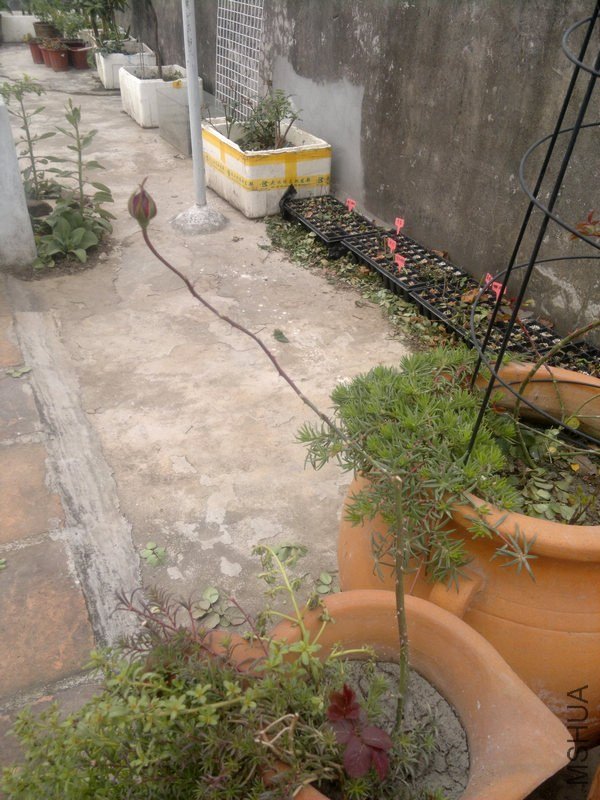 201301061186.jpg