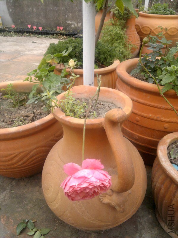 201301061185.jpg