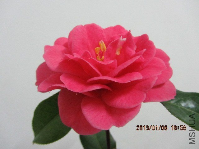 IMG_0138.JPG