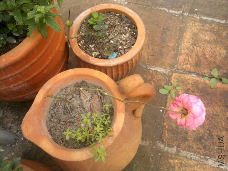 201301061187.jpg