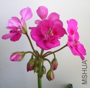@XE22SWF`T07@MBSACAT9IF.jpg