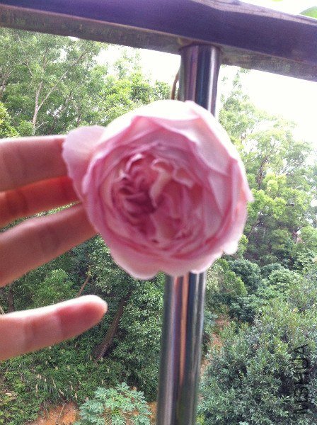 IMG_1014_meitu_7.jpg