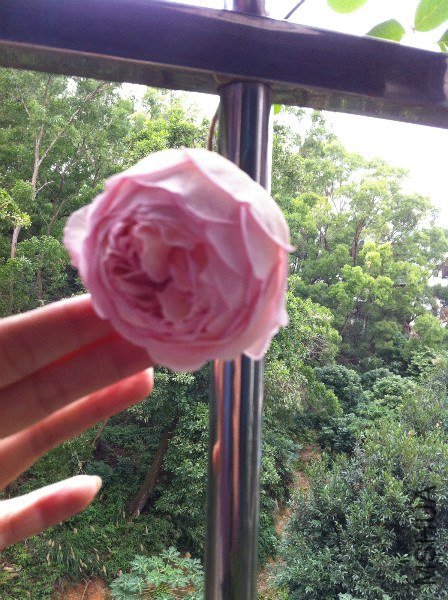 IMG_1017_meitu_10.jpg