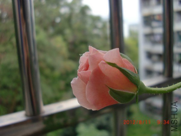CIMG2435_meitu_3.jpg
