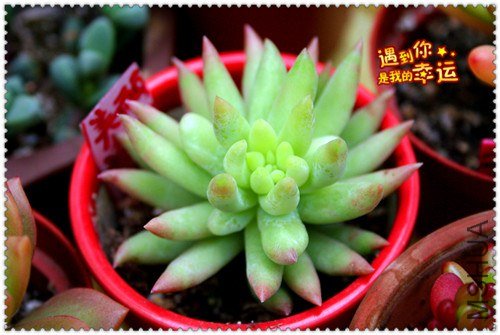 ��Ƭ 029_����.jpg