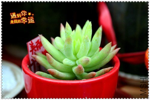 ��Ƭ 027_����.jpg