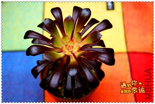 ��Ƭ 103_����.jpg