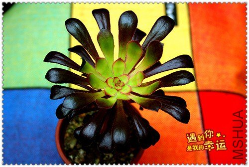 ��Ƭ 107_����.jpg