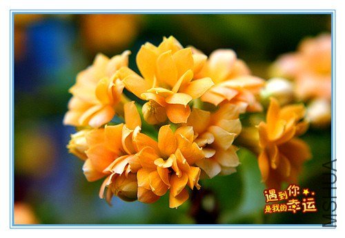 ��Ƭ 131_����.jpg