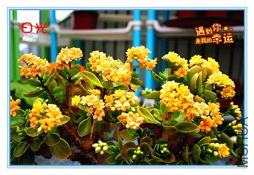 ��Ƭ 120_����.jpg