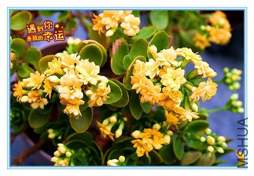 ��Ƭ 122_����.jpg