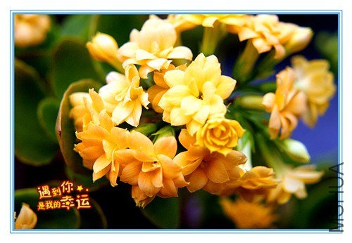 ��Ƭ 124_����.jpg