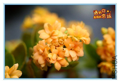 ��Ƭ 126_����.jpg