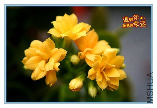 ��Ƭ 128_����.jpg