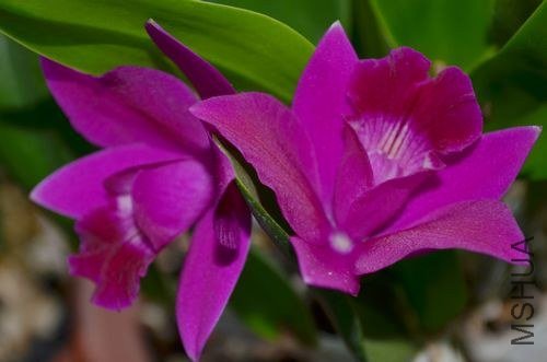 nEO_IMG_DSC_0006.jpg