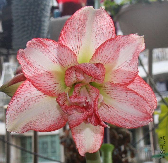 ���˴�ͷ�գ�������