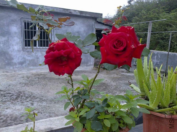 ��Ƭ0324.jpg