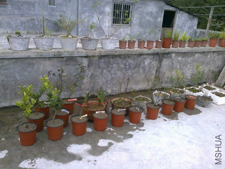 ��Ƭ0385.jpg