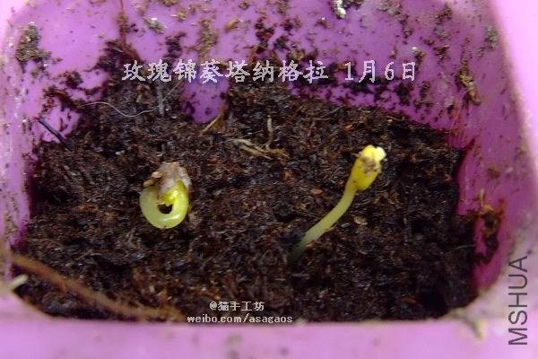 2013-0106(005)õ����� ���ɸ���.jpg