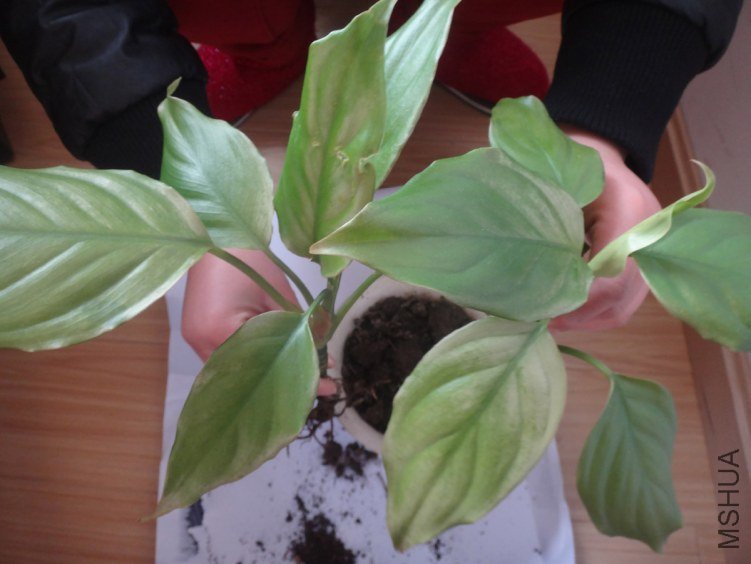 ����Խ��Խ��