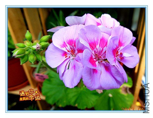 ��Ƭ 019_����.jpg