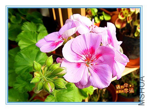 ��Ƭ 018_����.jpg