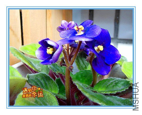 ��Ƭ 036_����.jpg