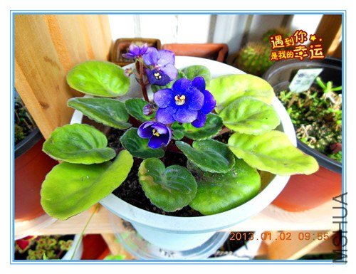 ��Ƭ 034_����.jpg