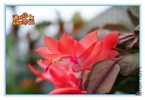 ��Ƭ 006_����.jpg