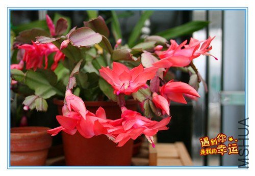 ��Ƭ 002_����.jpg