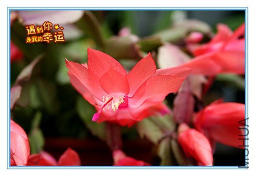 ��Ƭ 003_����.jpg