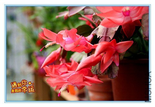 ��Ƭ 005_����.jpg