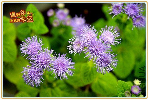 ��Ƭ 018_����.jpg